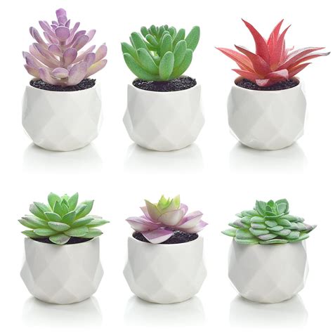 small artificial succulents